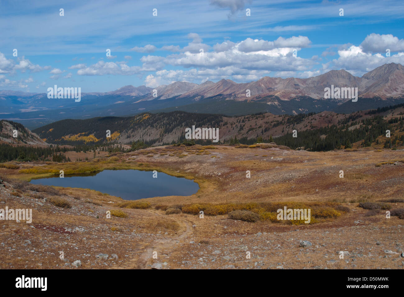 La western vista dalla cima di pioppi neri americani passano lungo il Continental Divide nei pressi di Buena Vista, Colorado. Foto Stock