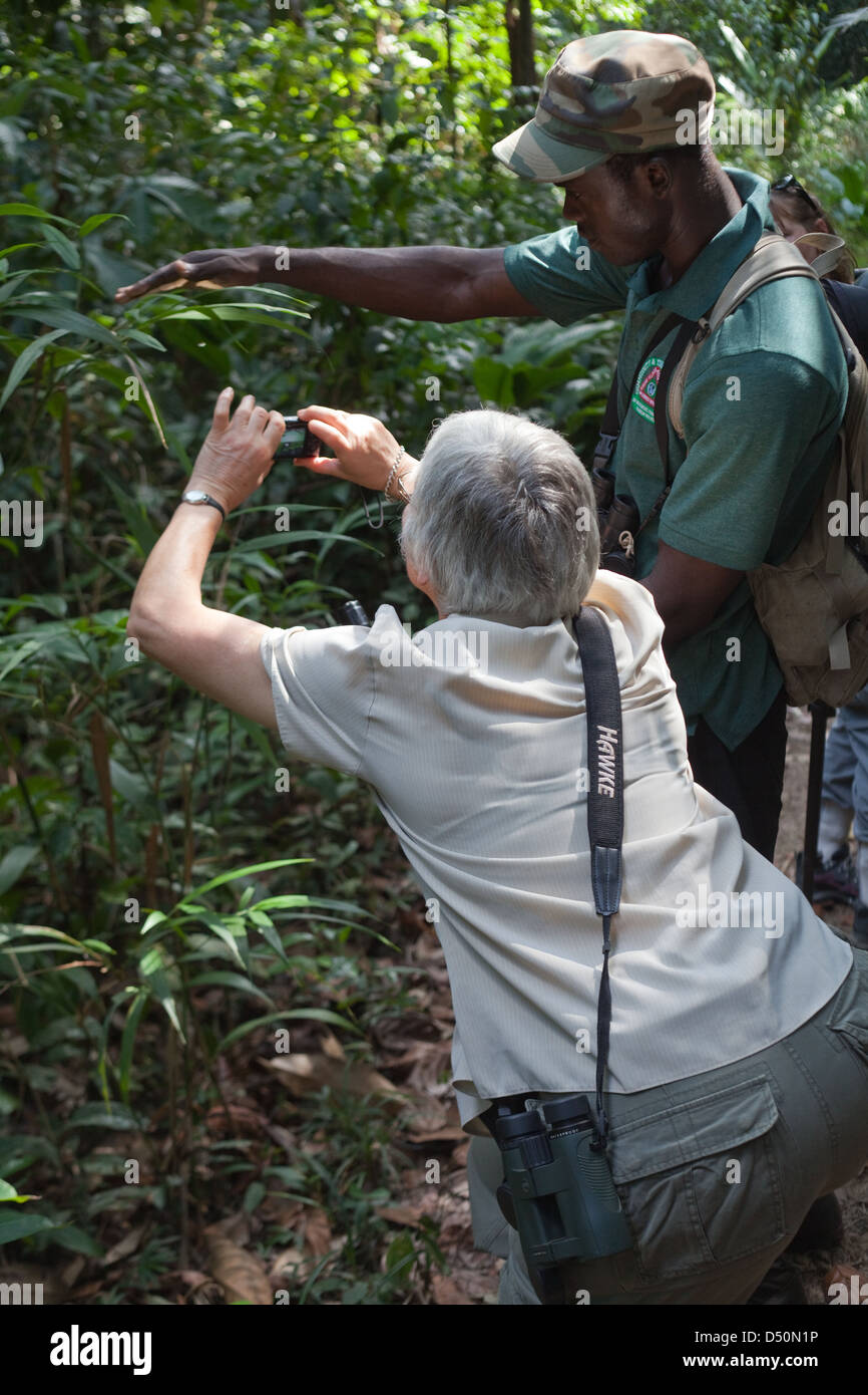 Eco-turistico con guida locale, fotografando un ragno mentre passeggiate in Iwokrama Centro internazionale per la conservazione della foresta pluviale Foto Stock