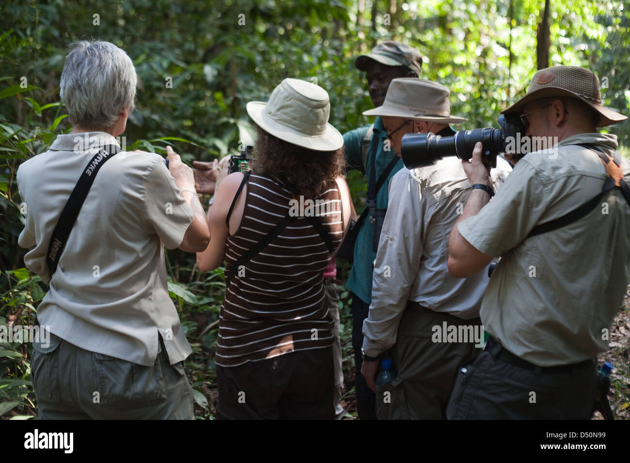Eco-turisti con guida locale, fotografando un ragno mentre passeggiate in Iwokrama Centro internazionale di conservazione della foresta pluviale Foto Stock