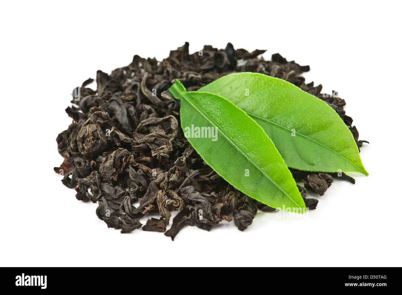 Tè nero con foglia isolati su sfondo bianco Foto Stock