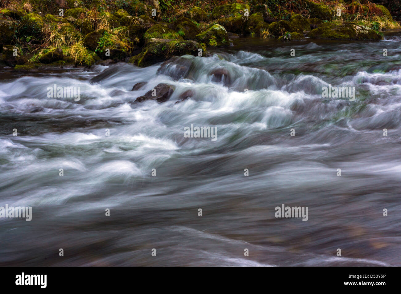 Fiume che scorre con verde banca di muschio Foto Stock