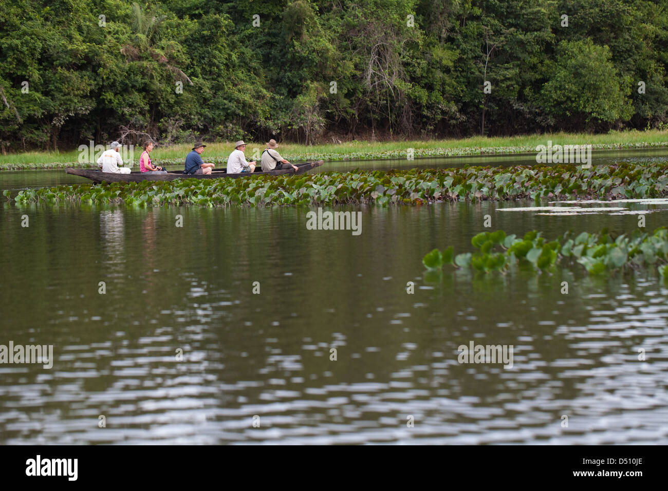 Eco-turisti locale con un guida di Amerindian paddling in una piroga attorno ad un ox-bow lake allontanarsi dal fiume Rewa Guyana Foto Stock