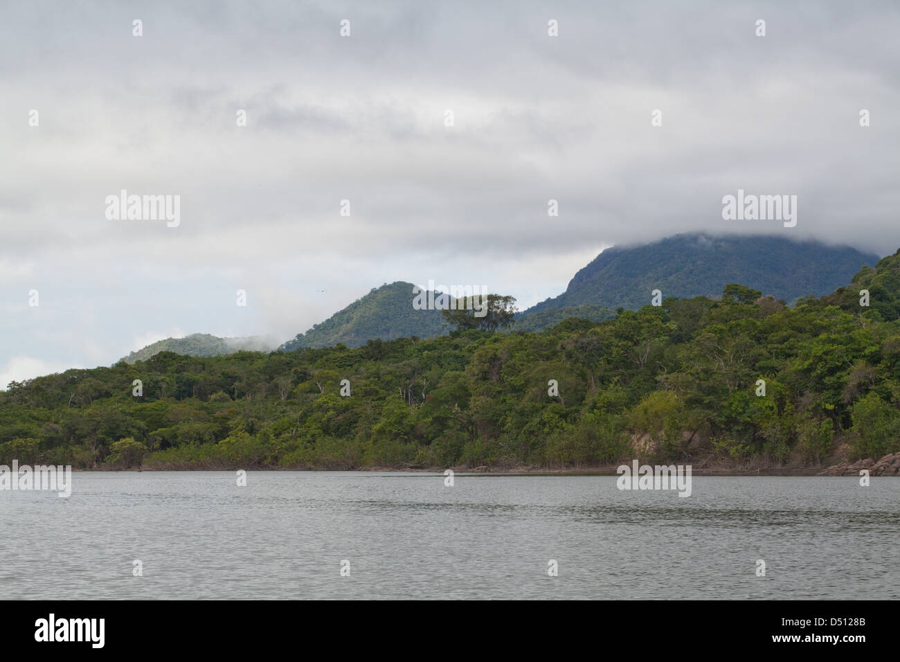 Rivestito di foresta pluviale scende fino al fiume Rewa. Nord Rupununi, Guyana. Foto Stock