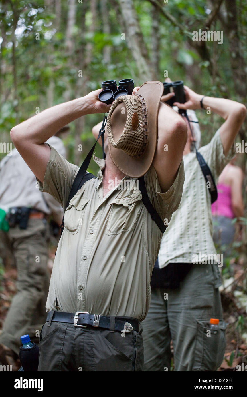 Bird watching ecotourists, identificare la specie volando sopra la testa.Guyana. Foto Stock