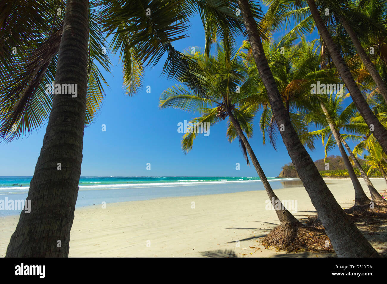 La sabbia bianca della spiaggia orlata di palme in questo rilassato villaggio & resort; Samara, provincia di Guanacaste, Nicoya Penninsula, Costa Rica Foto Stock