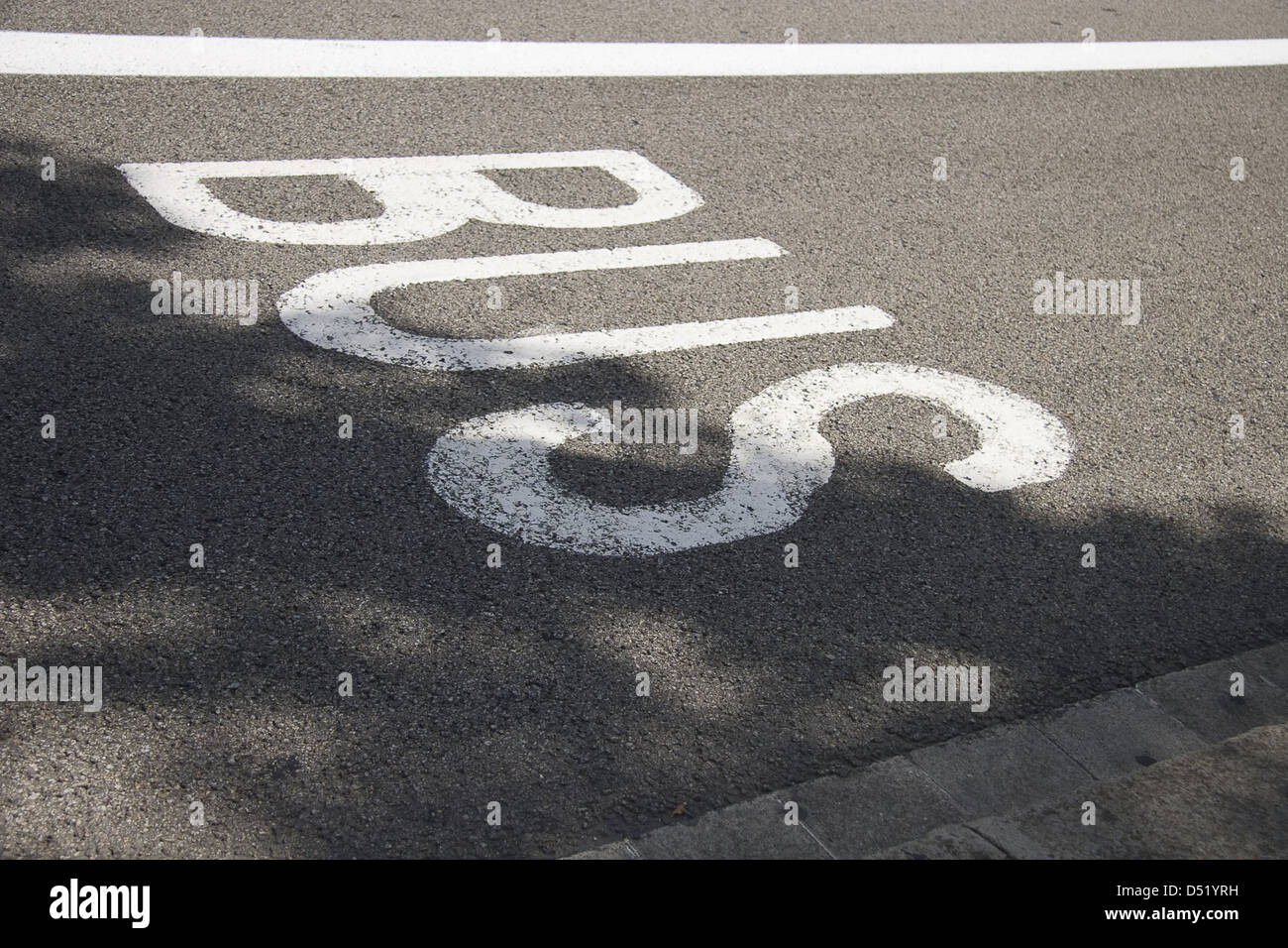 Marcatura di bus su asfalto Foto Stock