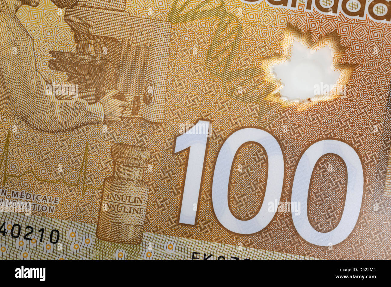 Plastica canadese di un centinaio di dollari. Foto Stock