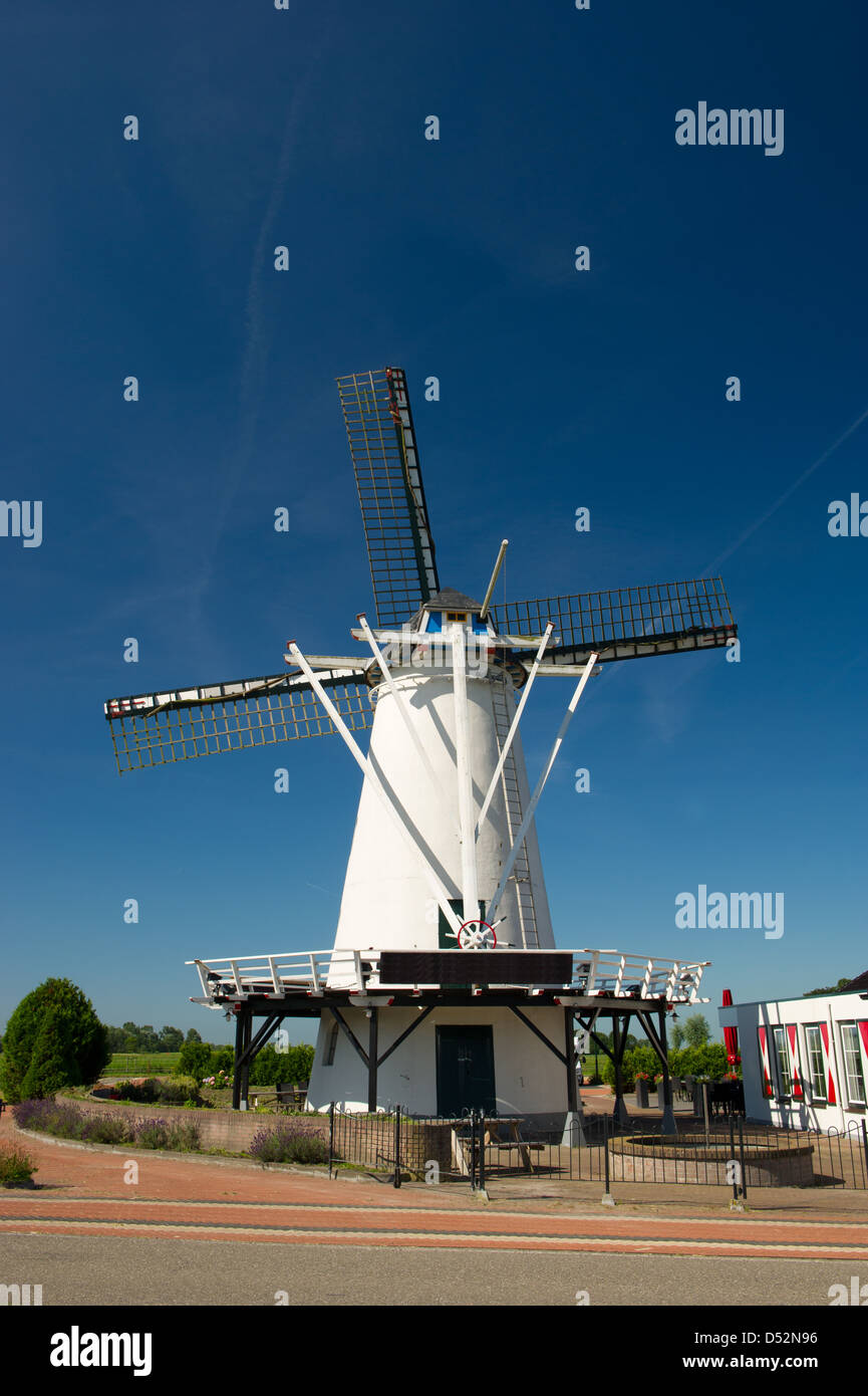 Bianco mulino a vento olandese a Groningen Foto Stock