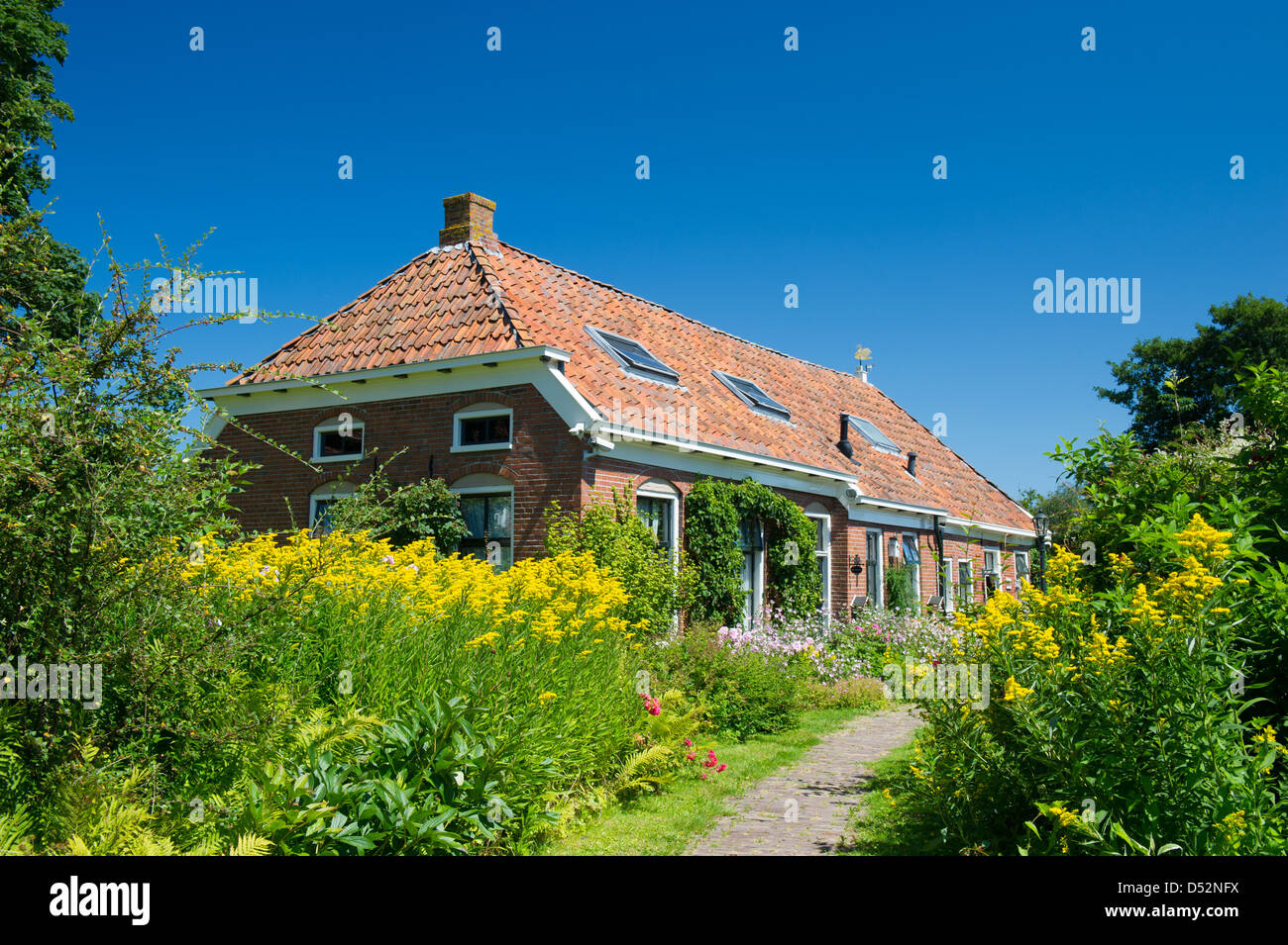 Fila piccole case di villaggio olandese di Groningen Eenum Foto Stock