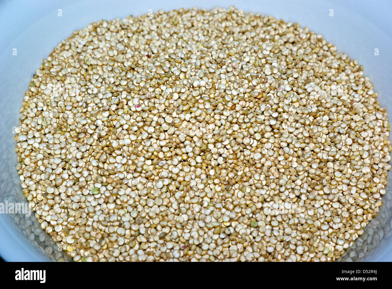 Ciotola crudo intero organico grano quinoa pseudocereal Chenopodium Foto Stock