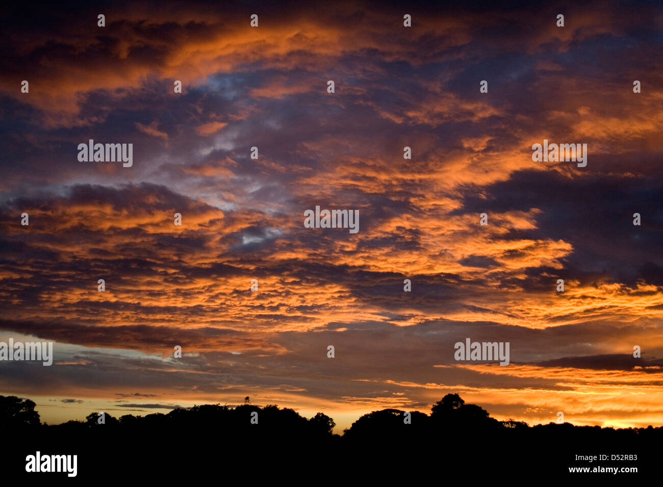 Sunset over Yorkshire Foto Stock