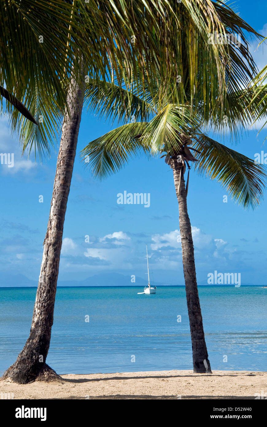 Carlisle Bay beach, Antigua, West Indies, dei Caraibi e America centrale Foto Stock