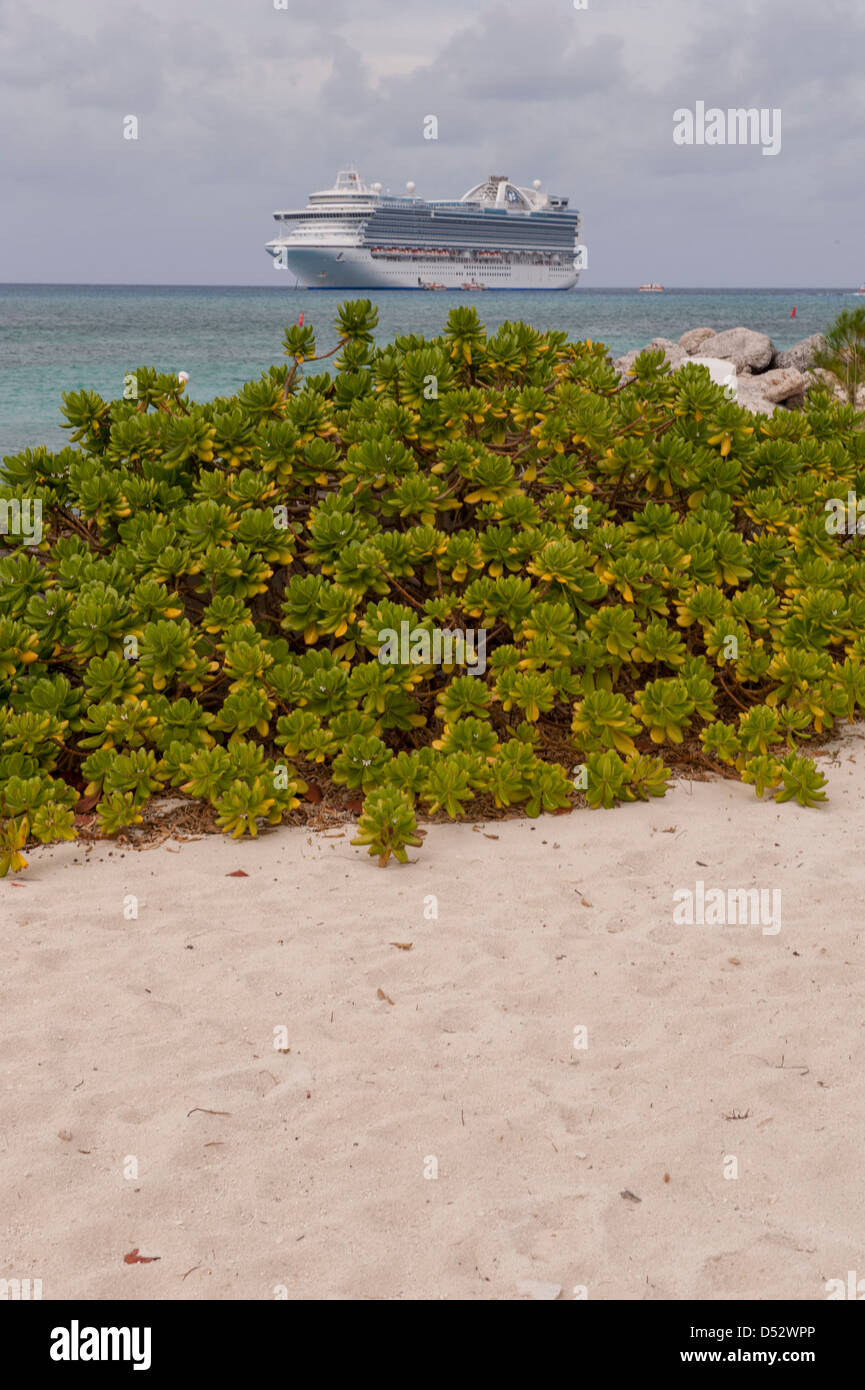 Bahamas, Eleuthera, Princess Cays, Crown Princess, nave da crociera Foto Stock