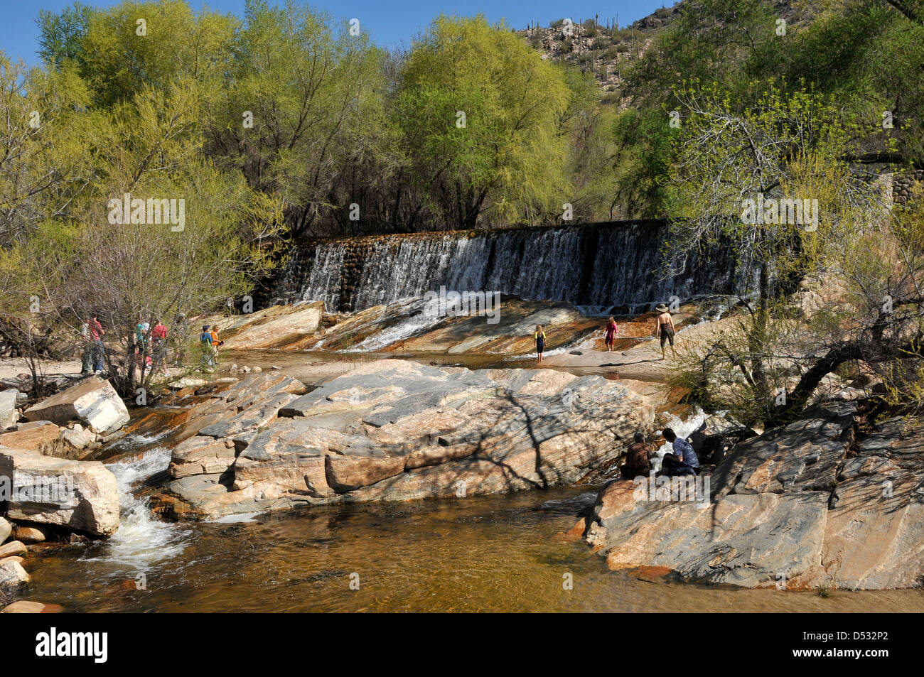 Flussi di acqua in Sabino Creek, Sabino Canyon Recreation Area, Foresta Nazionale di Coronado, Deserto Sonoran, Tucson, Arizona, Stati Uniti. Foto Stock