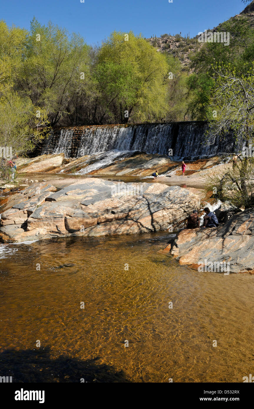 Flussi di acqua in Sabino Creek, Sabino Canyon Recreation Area, Foresta Nazionale di Coronado, Deserto Sonoran, Tucson, Arizona, Stati Uniti. Foto Stock