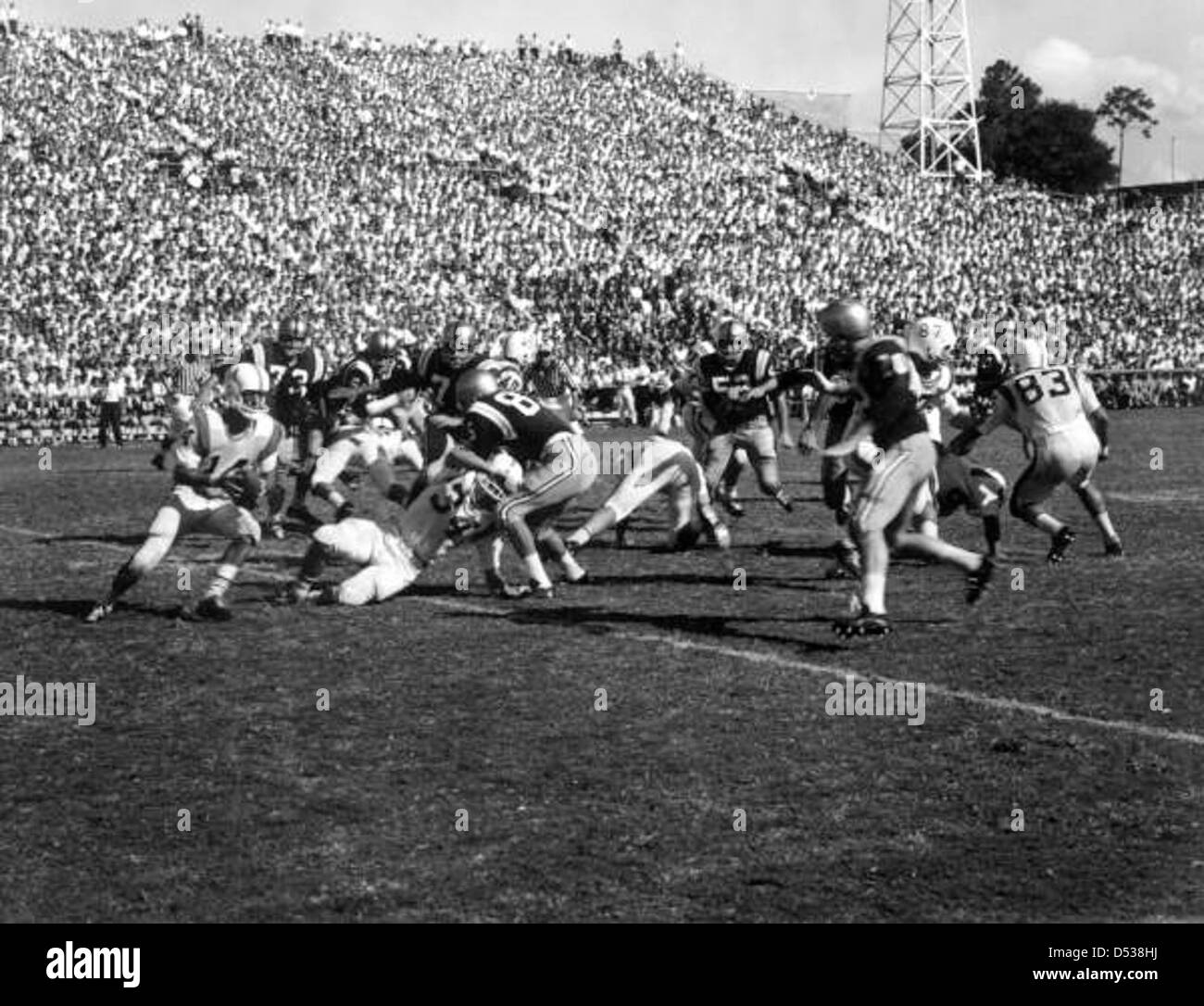 Una fotografia che cattura l'intensa rivalità tra la Florida State University e la University of Florida durante una partita di football al Florida Field di Gainesville. L'immagine mostra la folla appassionata di football universitario. Foto Stock