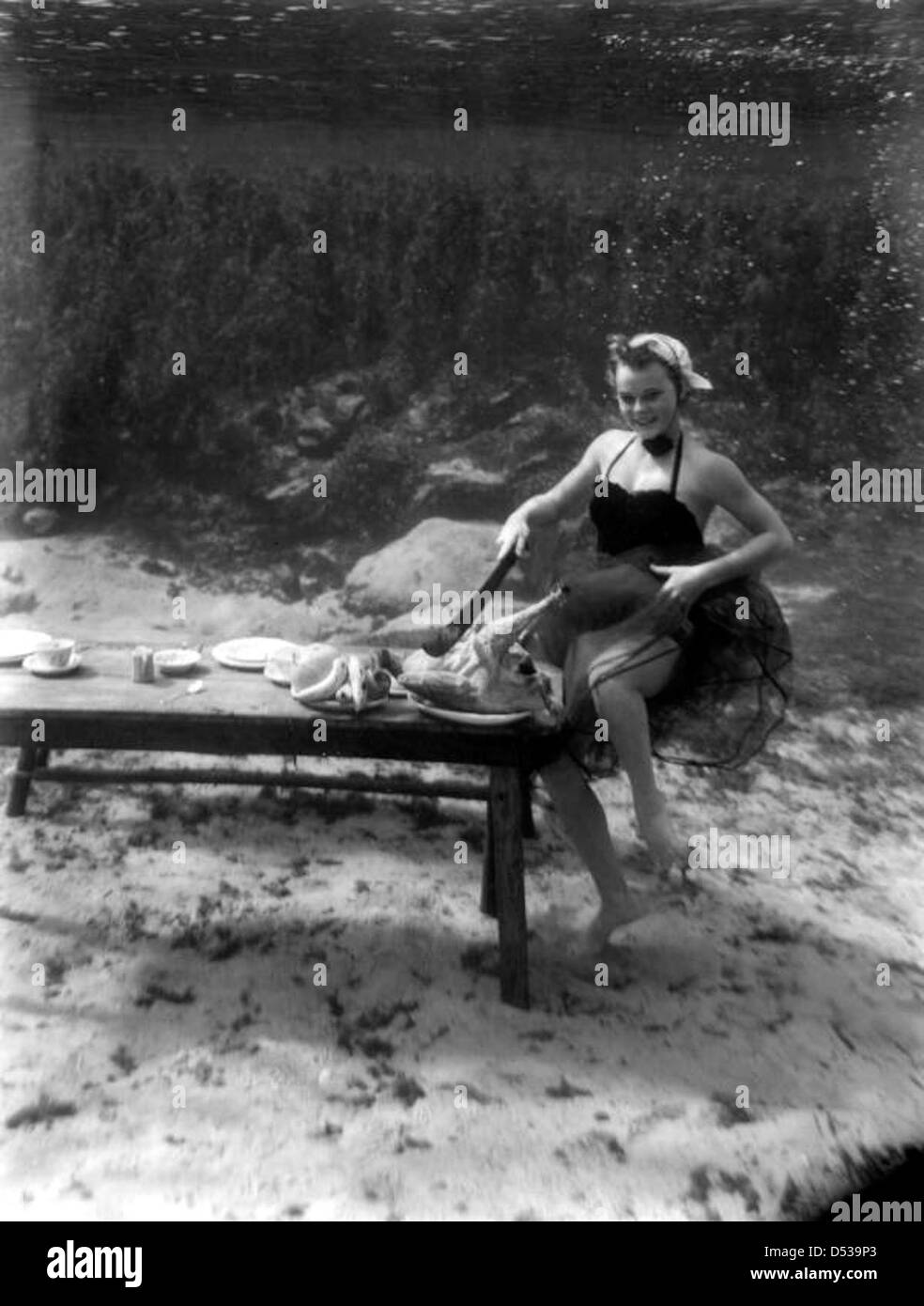 Una scena subacquea unica del Ringraziamento a Rainbow Springs nella contea di Marion, Florida, catturata da Harvey E. Slade. L'immagine presenta tacchini sott'acqua, che offrono un tocco creativo sul tema delle vacanze, e fa parte della State Library and Archives of Florida collezione di fotografie insolite. Foto Stock