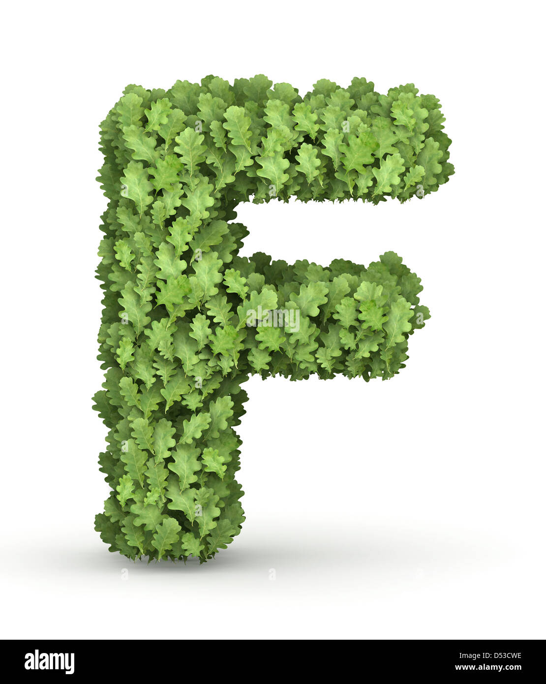 Lettera F da fresco verde quercia lascia crescere Foto Stock Lettera F da fresco verde quercia lascia crescere Foto Stock