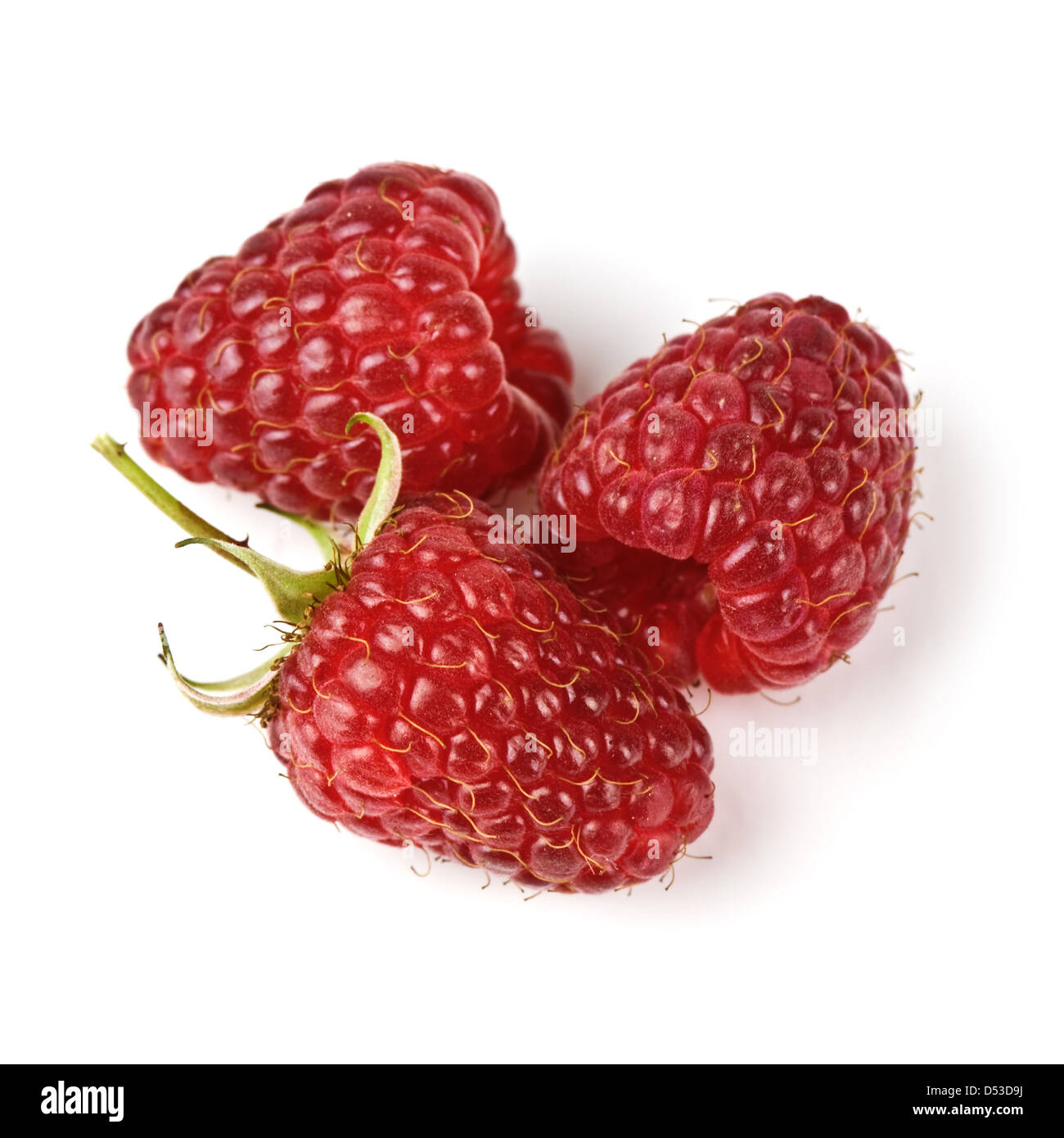 Il lampone maturo isolato su bianco Foto Stock