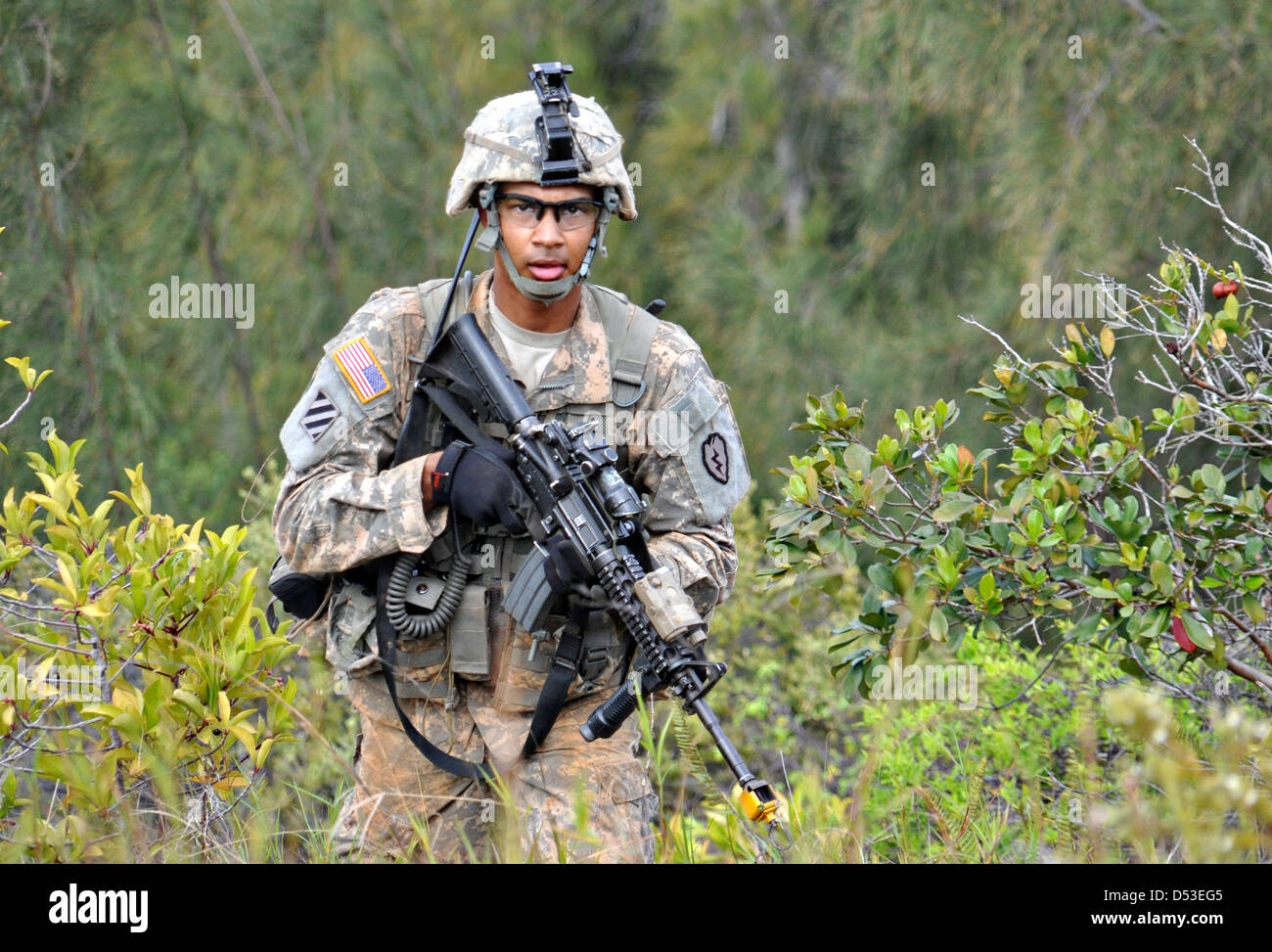 US Army soldato durante la squadra Wolfhound versetti Squad tre giorni di guerra Novembre 15, 2012 nelle Hawaii. Foto Stock