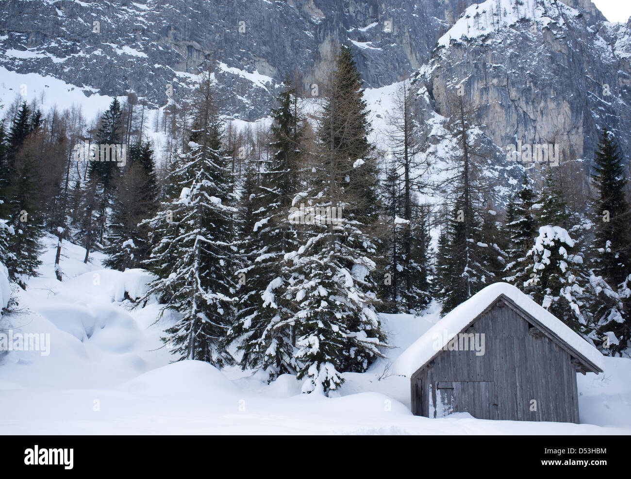 Neve profonda e ripide scogliere presso lo Ski Civetta Resort nelle Dolomiti, Alto Adige, Italia Foto Stock
