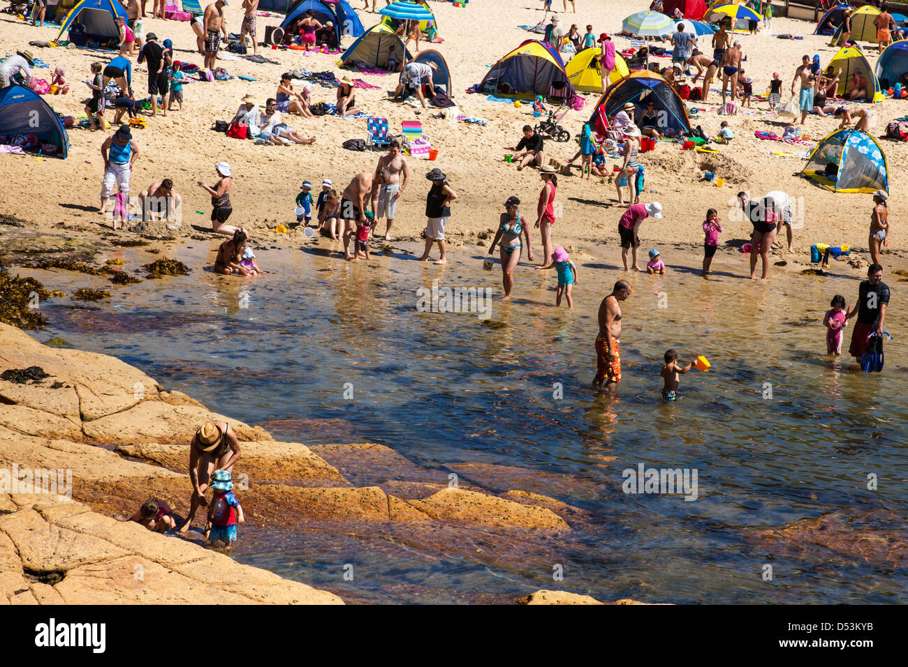 Clovelly beach, Sydney, Nuovo Galles del Sud, Australia Foto Stock