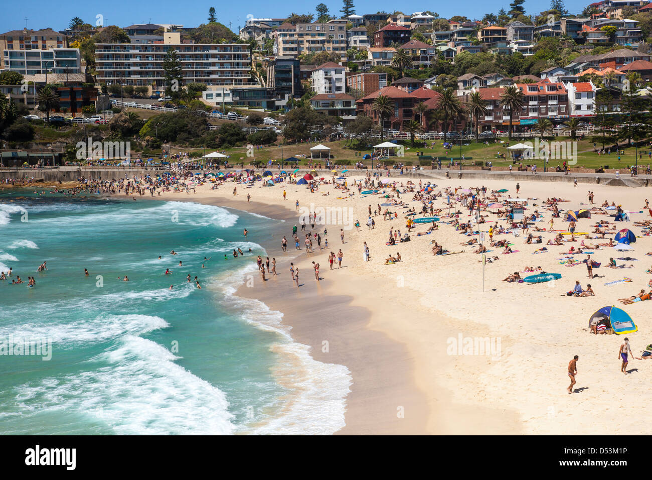 Bronte beach, sobborghi Orientali, Sydney, NSW, Australia Foto Stock