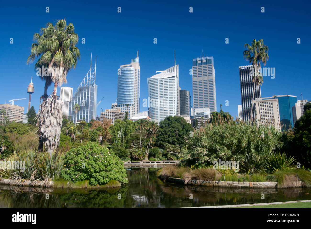 Royal Botanic Gardens con lo skyline del CBD di Sydney dietro il Nuovo Galles del Sud (NSW) Australia Foto Stock