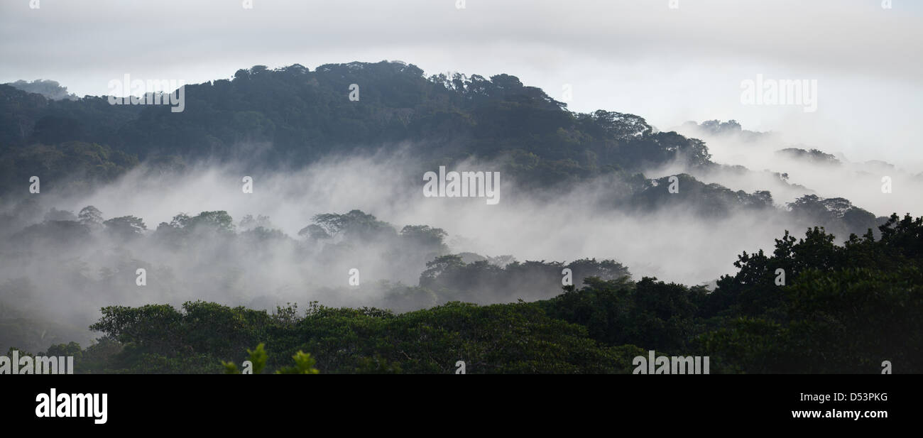 Panorama del parco nazionale di Soberania allo spuntar del giorno, provincia di Panama, Repubblica di Panama. Foto Stock