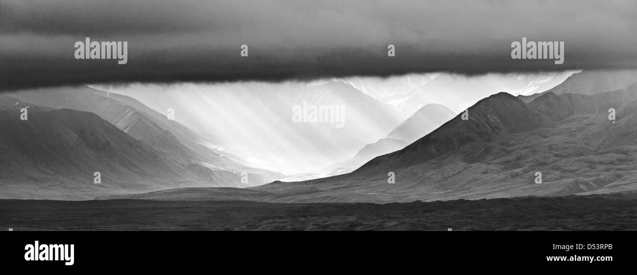 Mt. McKinley (Denali), il punto più alto in Nord America (20,320') visto dal lato ovest del Parco Nazionale di Denali, AK Foto Stock