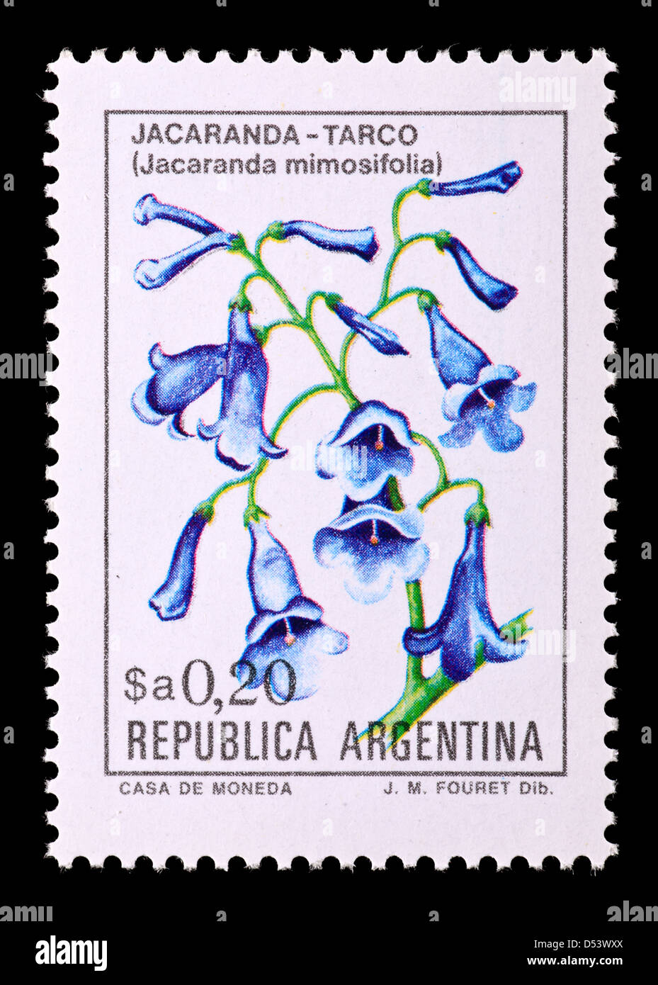 Francobollo da Argentina raffiguranti alberi di jacaranda in fiore (Jacaranda mimosifolia) Foto Stock