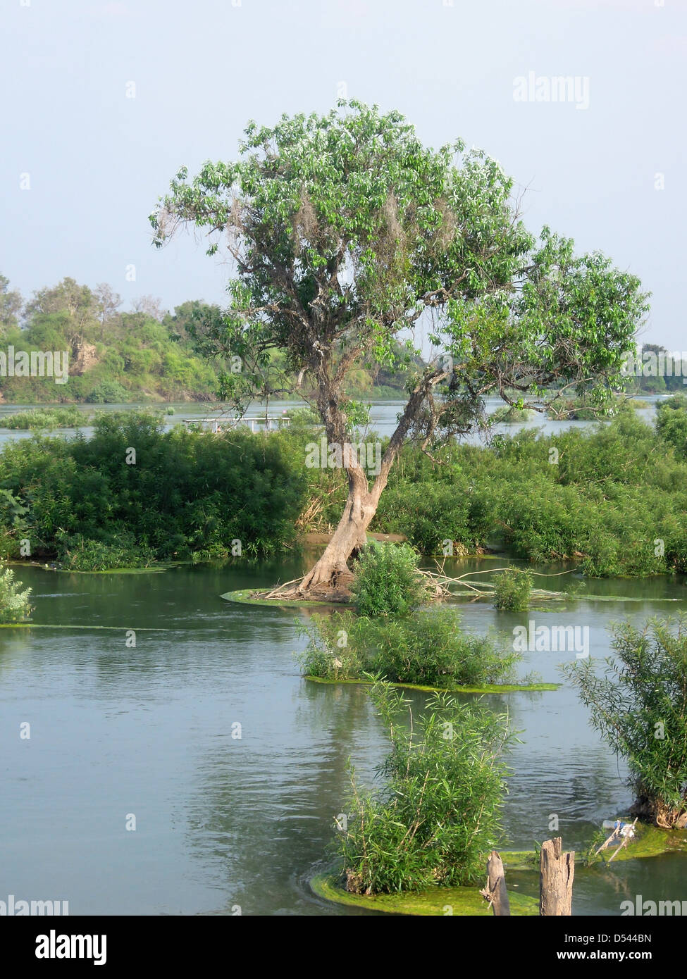 Il fiume Mekong paesaggio a Don Det isola su Laos Foto Stock