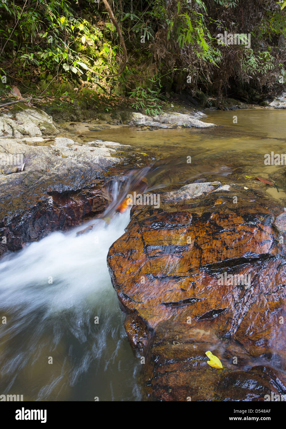 Acqua fresca che scorre in un tranquillo ruscello in una foresta pluviale tropicale, Pahang, Malaysia Foto Stock