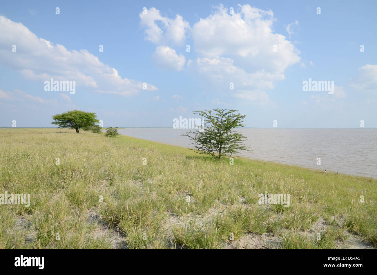 Vista del Makgadikgadi Pan durante la stagione delle piogge, vicino Nata, Botswana Foto Stock