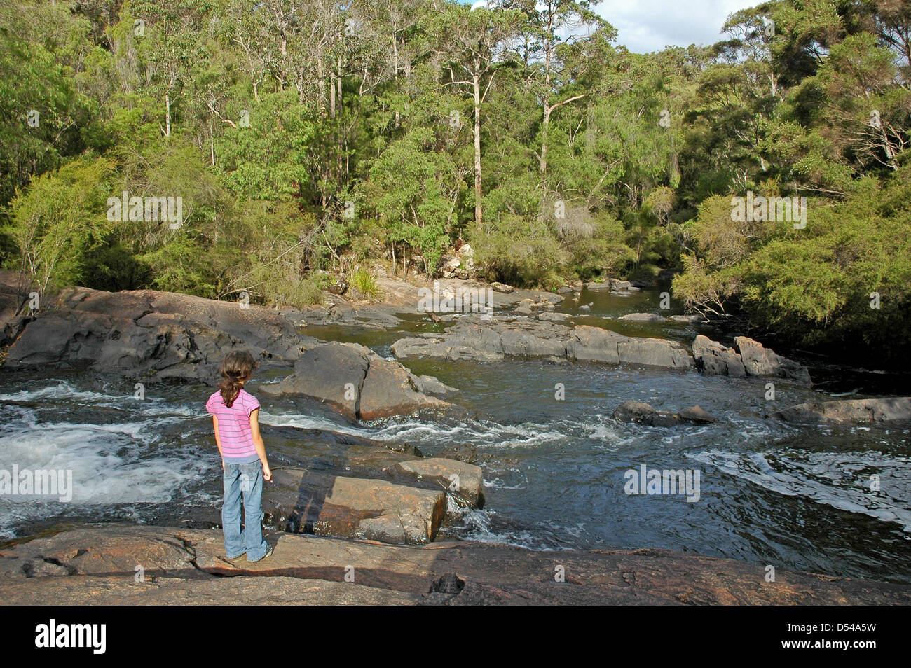 Otto anni ragazza australiana guardando le cascate a Lefroy Brook, Pemberton, Western Australia. Foto Stock