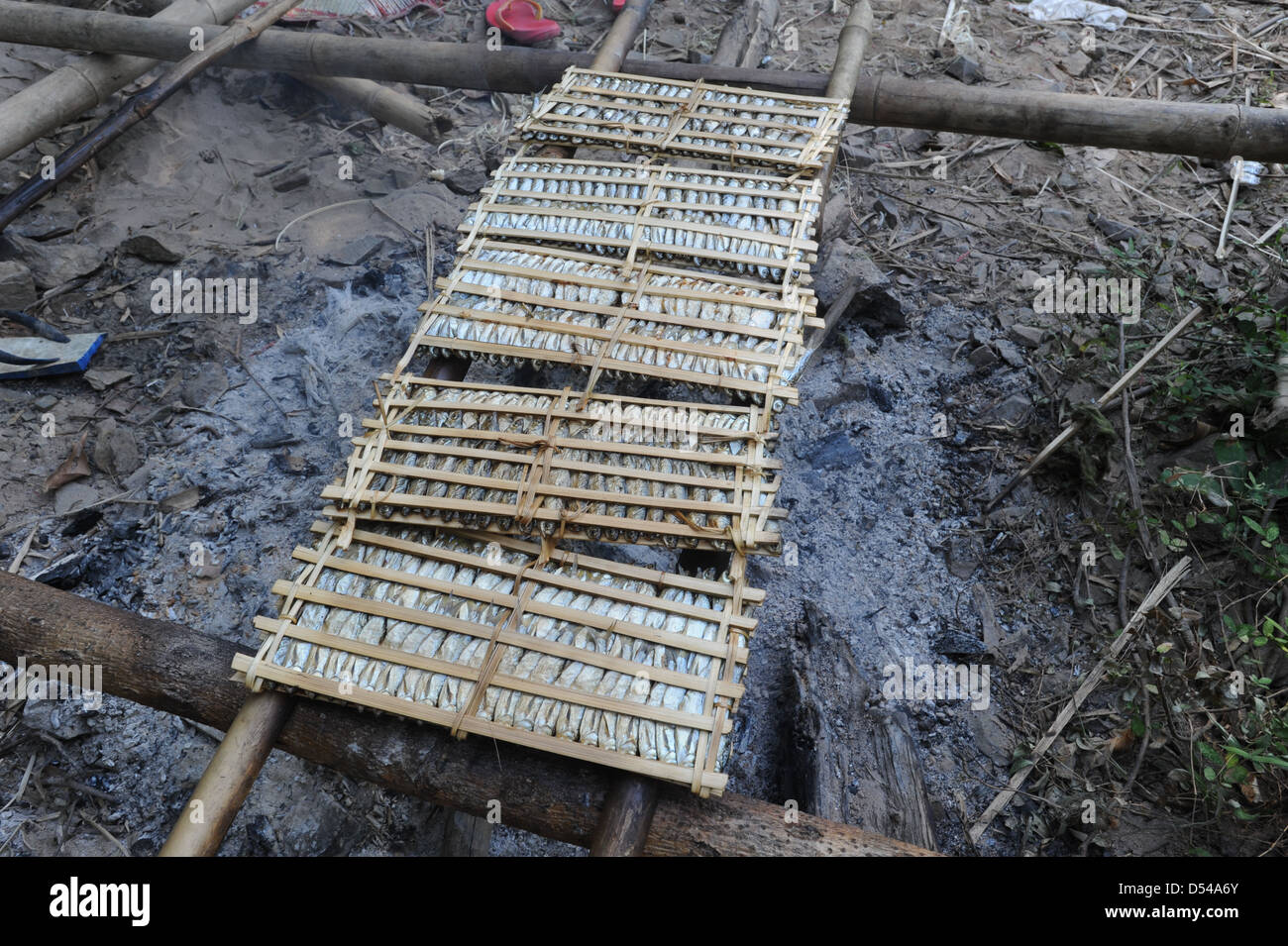 Pesce affumicato di fiume Mekong Foto Stock