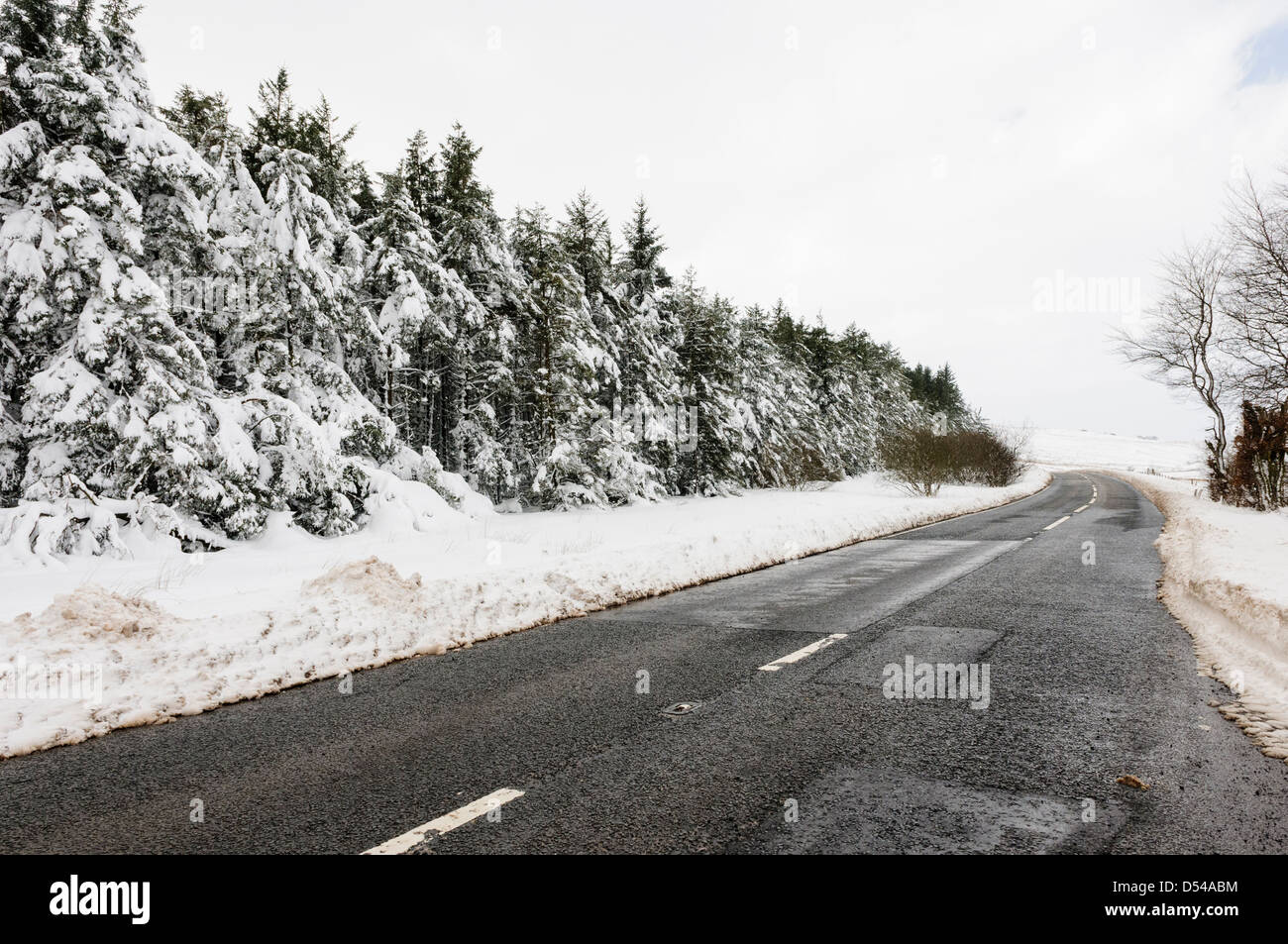 Una strada recentemente cancellato di neve passando per una foresta Foto Stock