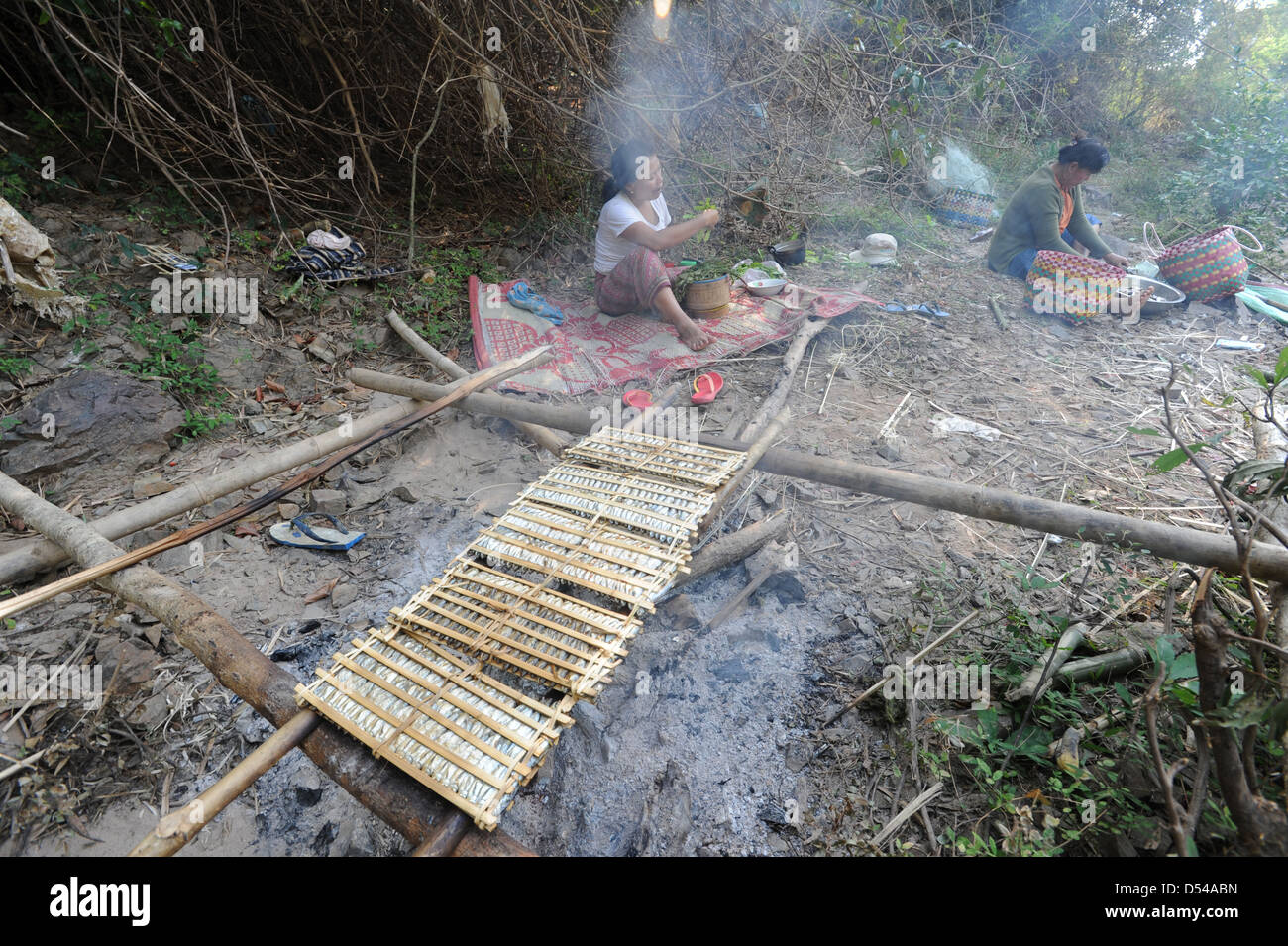 Pesce affumicato di fiume Mekong Foto Stock