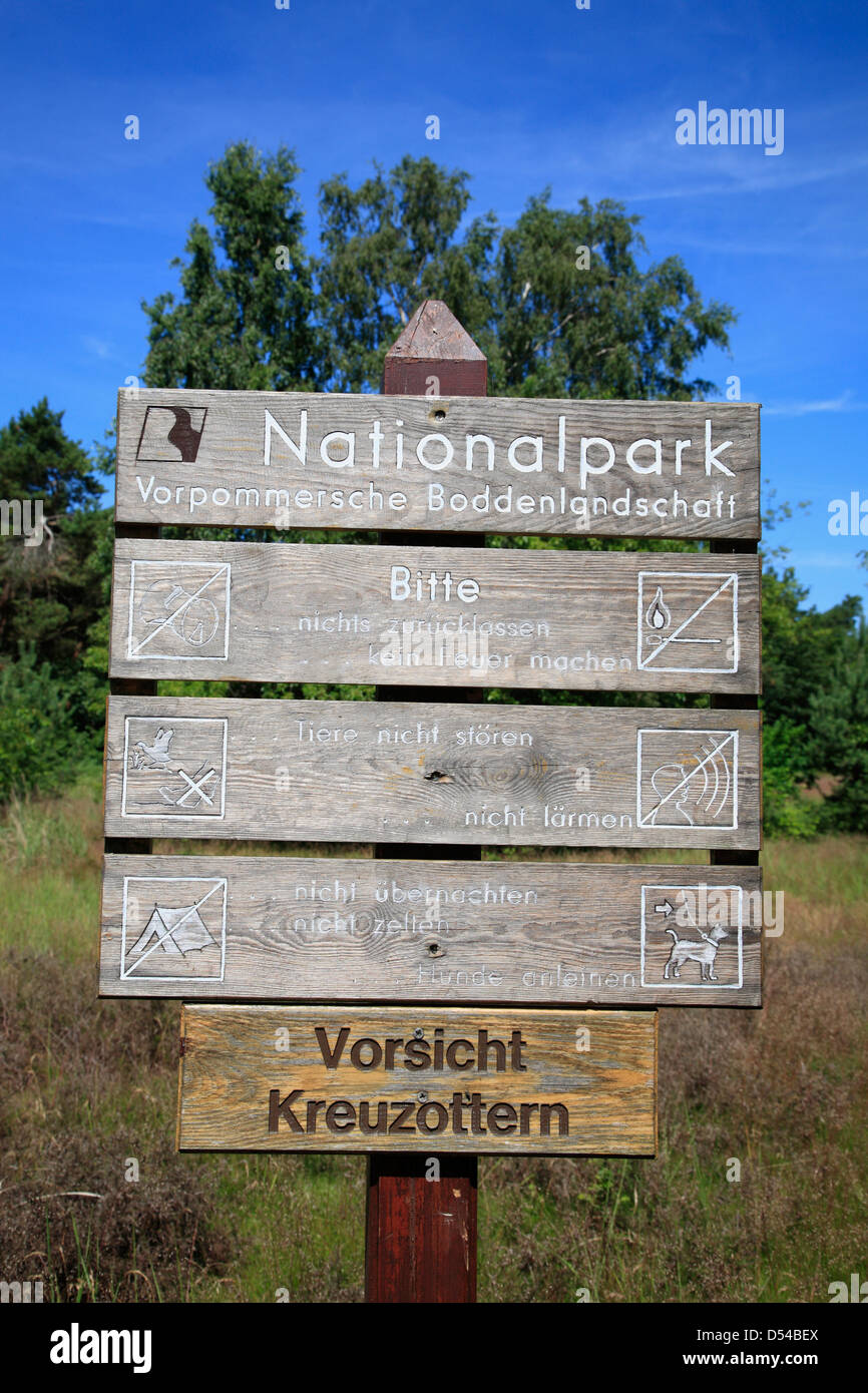 Isola di Hiddensee, Duenenheide, Parco Nazionale, Meclemburgo Pomerania occidentale Foto Stock