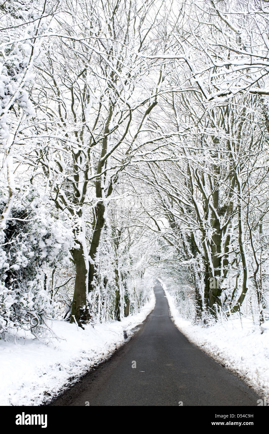 Vicolo del paese in inverno, Worcestershire, England, Regno Unito Foto Stock