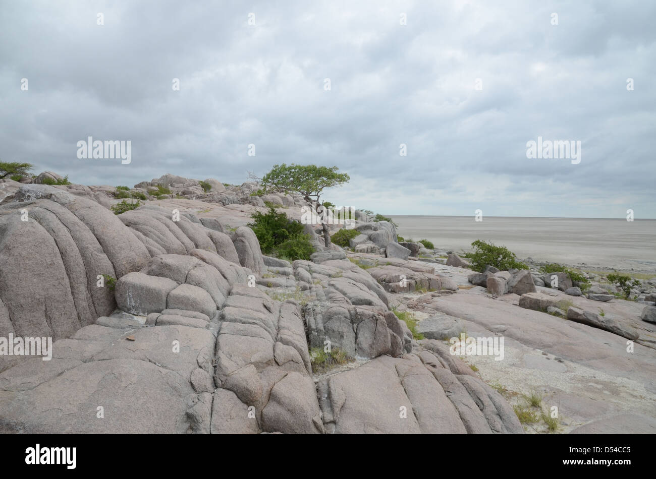 Vista di Kubu island e la sua Pan, Botswana Foto Stock