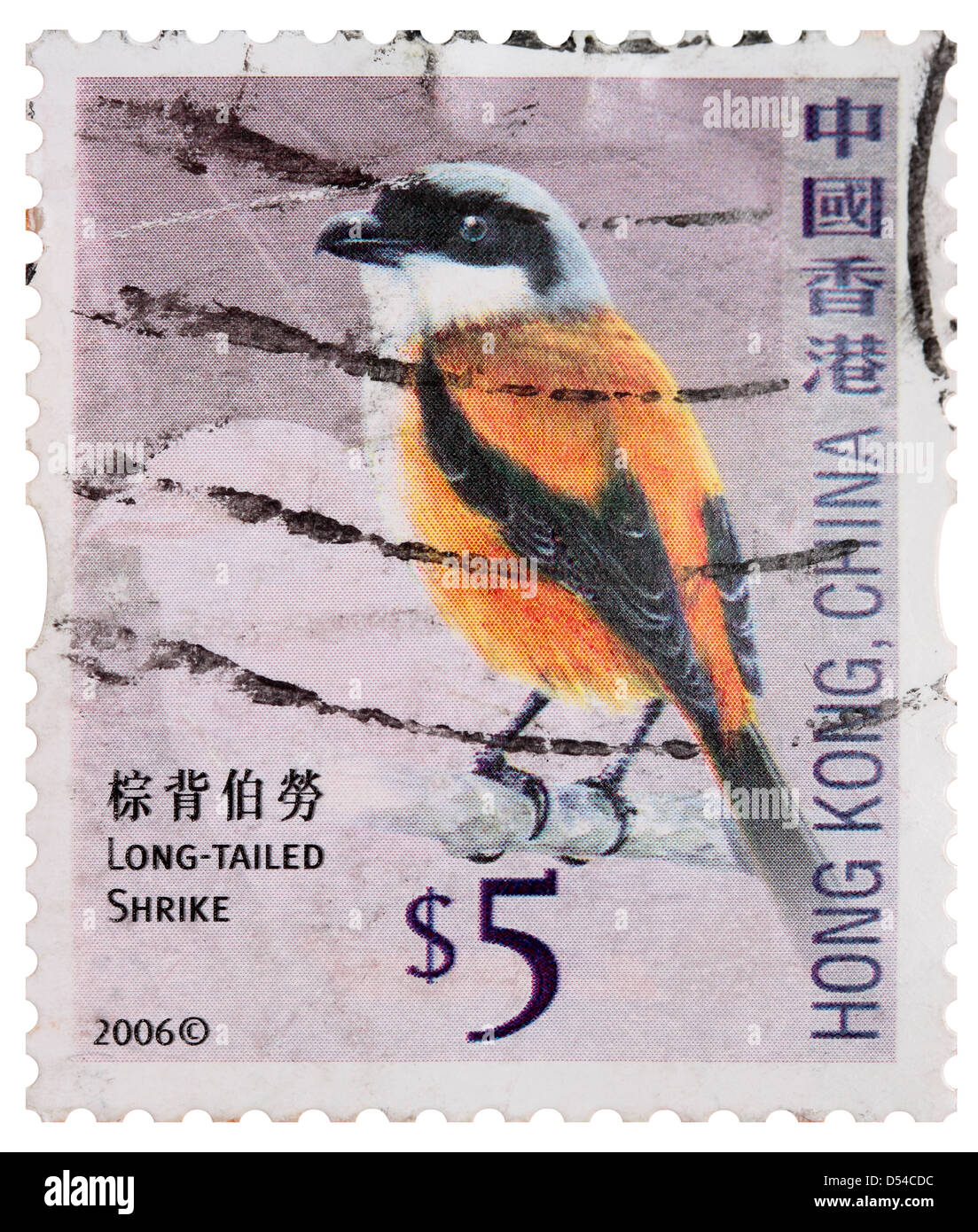 Utilizzate 5 dollaro di Hong Kong Francobollo - Long-Tailed Shrike Foto Stock