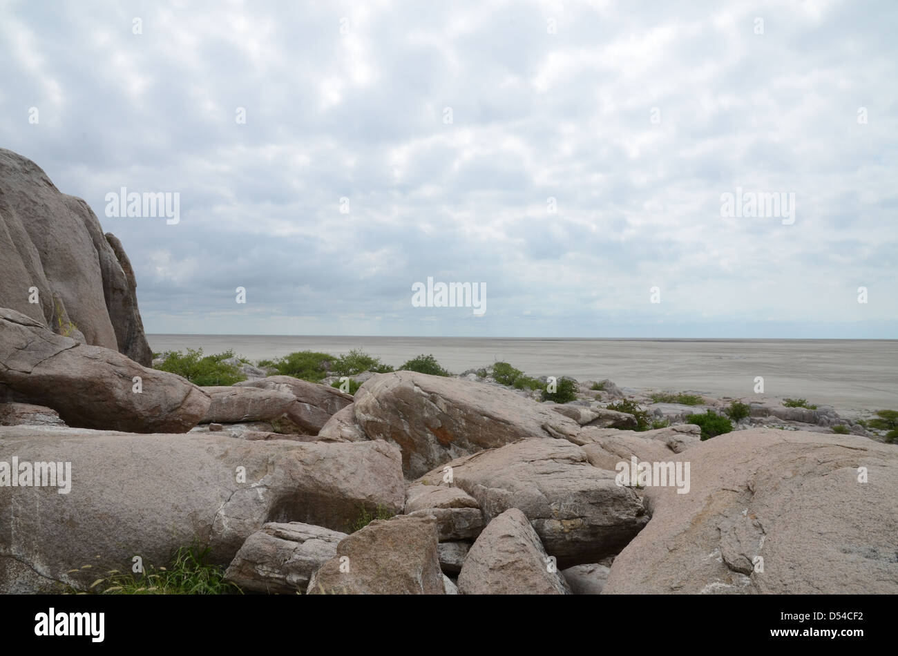 Vista di Kubu island e la sua Pan, Botswana Foto Stock