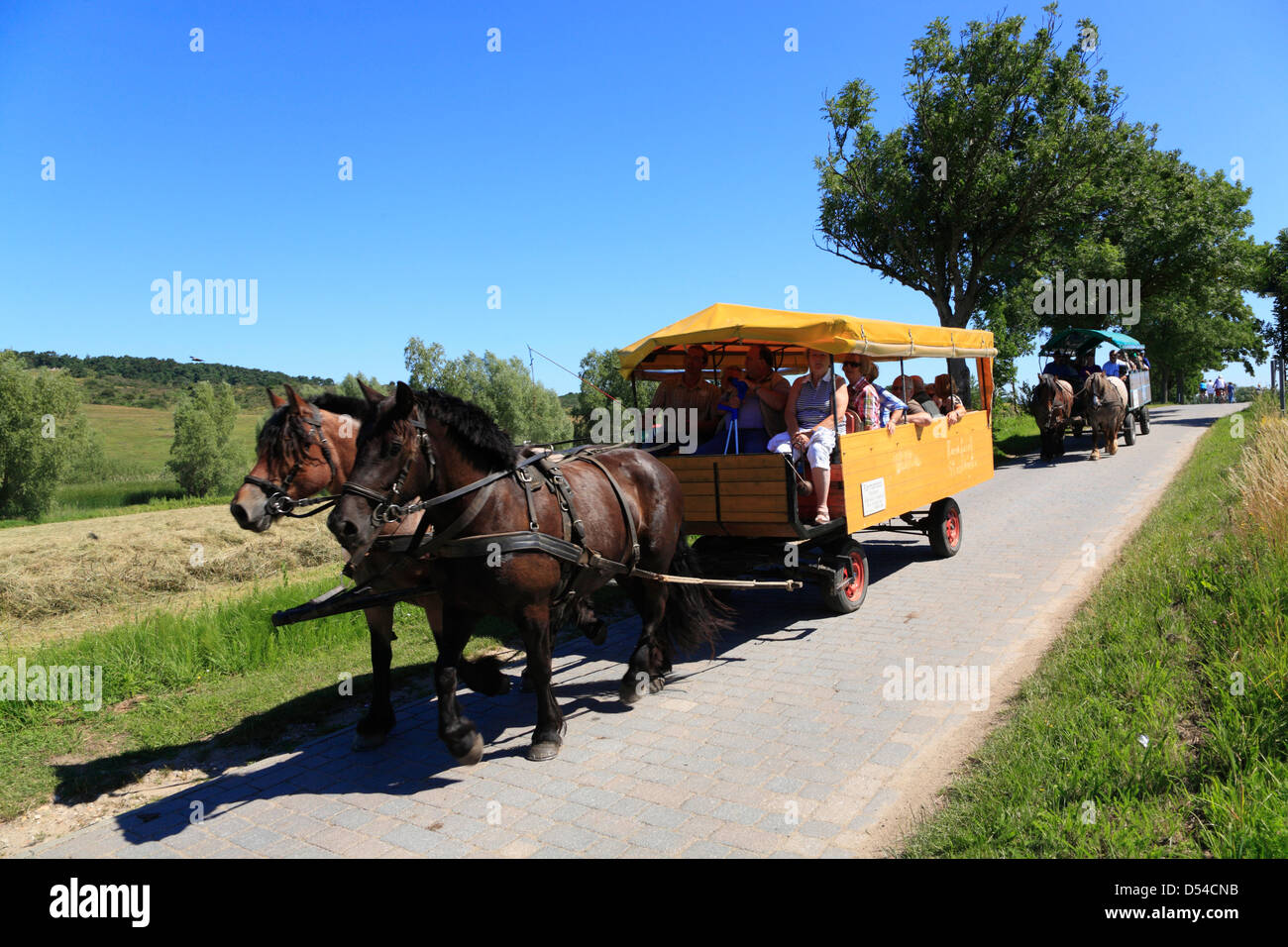 Isola di Hiddensee, carrozze trainate da cavalli a Kloster, Meclemburgo-Pomerania, Germania Foto Stock