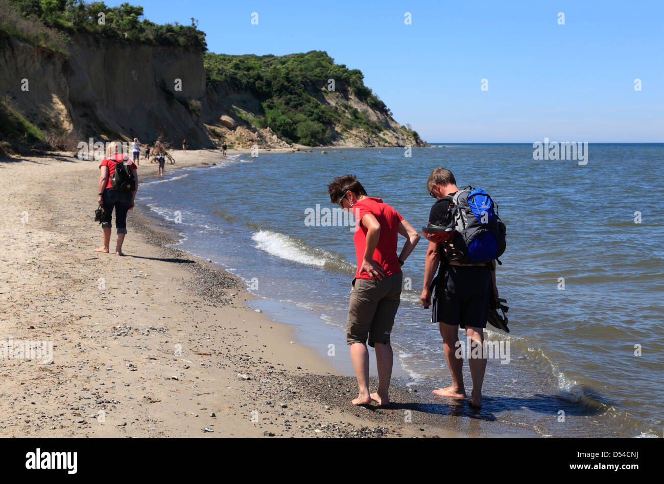 Isola di Hiddensee, Enddorn beach, ricerca ambra, Meclemburgo-Pomerania, Germania Foto Stock
