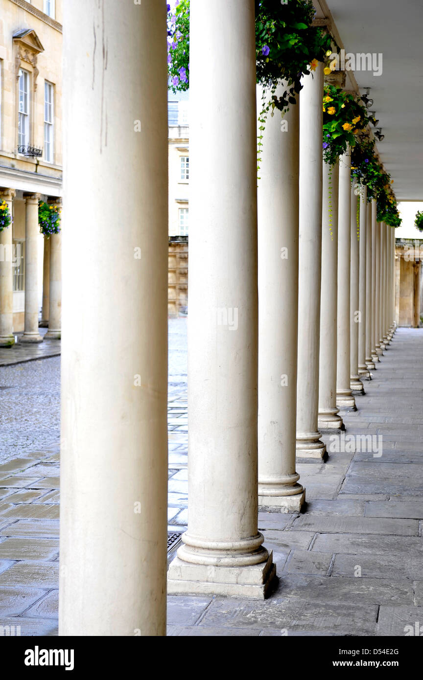 Una serie di colonne nella città di Bath in Inghilterra su un pavimento coperto con ceste di fiori Foto Stock