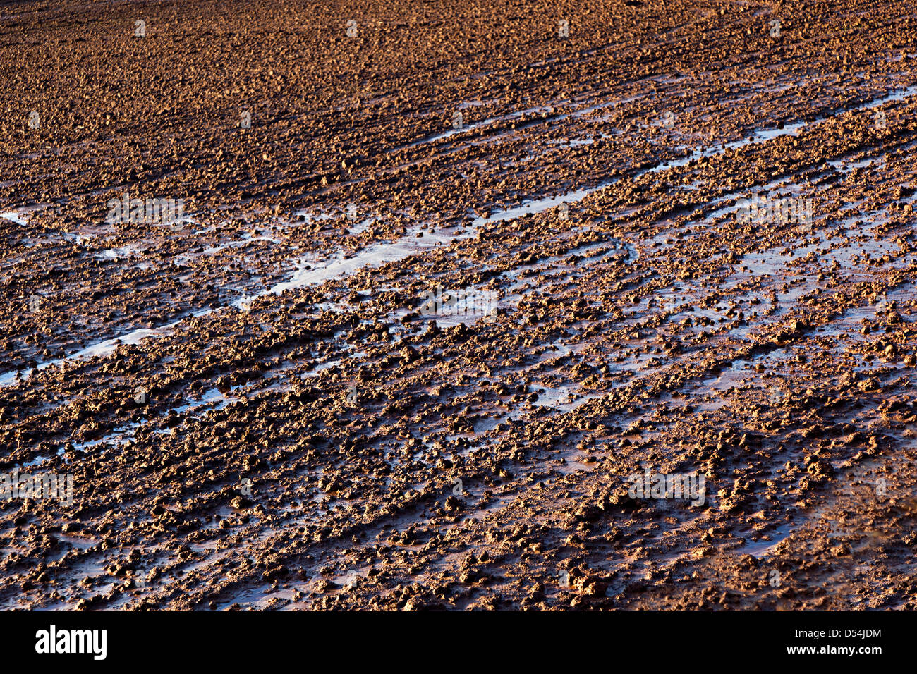 Saturo di acqua campo arato, Herefordshire, Engtland, REGNO UNITO Foto Stock