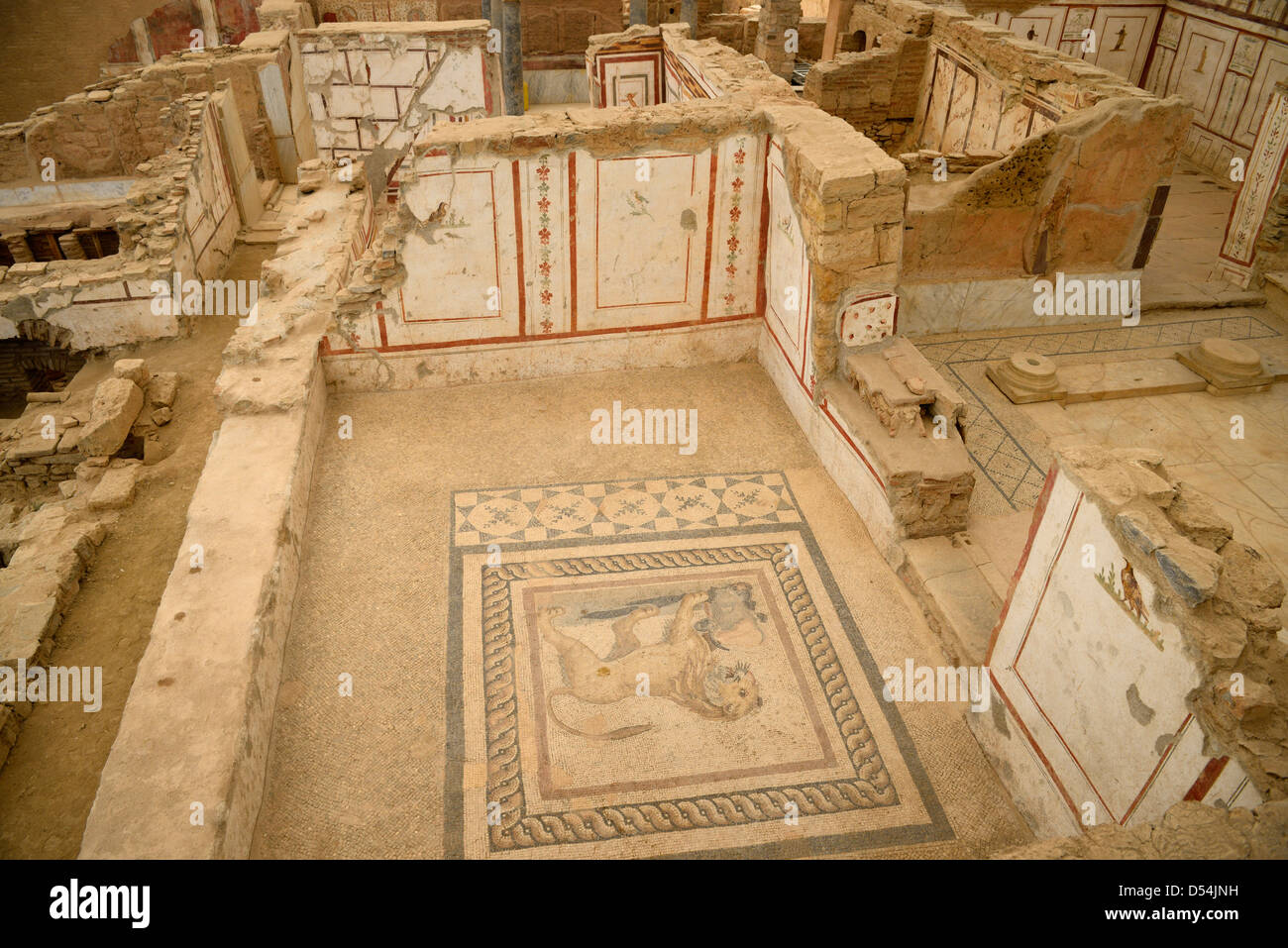 Affreschi e mosaici di lion piastrelle del pavimento degli interni di una  casa di pendenza rovina sulla strada Curetes di antiche Efeso Turchia Foto  stock - Alamy