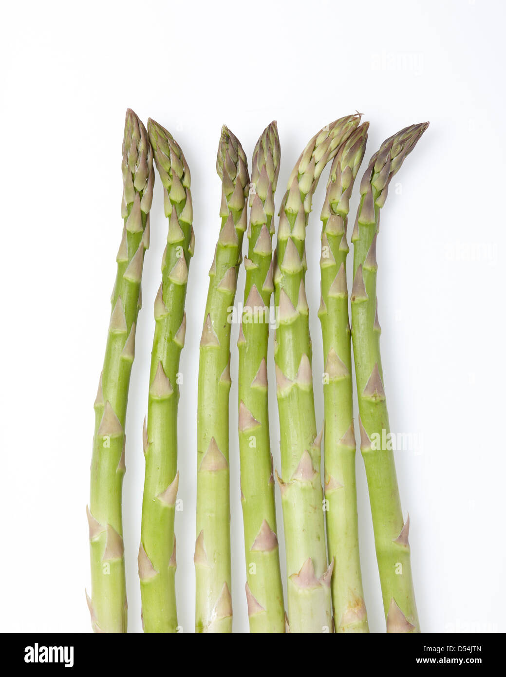 Ancora la vita di asparagi Foto Stock
