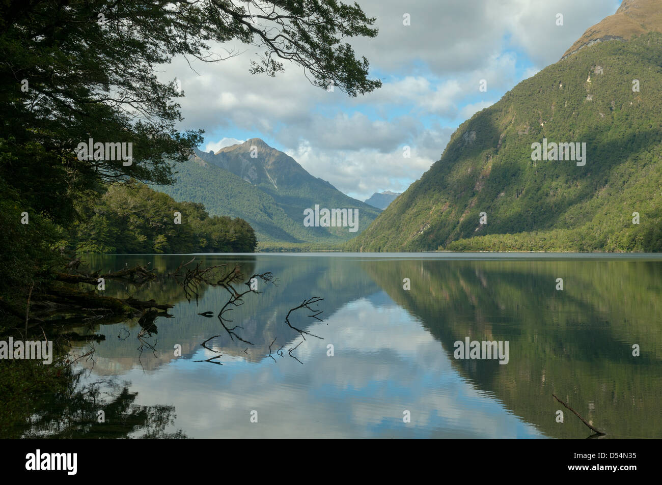 Riflessi nel lago Gunn, Fiordland, Nuova Zelanda Foto Stock